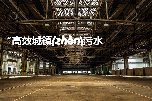 “高效城鎮(zhèn)污水處理流程，守護碧水藍天新篇章”